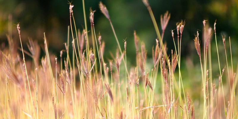 企业困境的法律出路：破产清算与债务重组全流程法律咨询指南 | 沙莫金法律