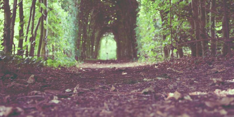 刑事辩护与民事诉讼：如何选择专业法律咨询守护您的权益