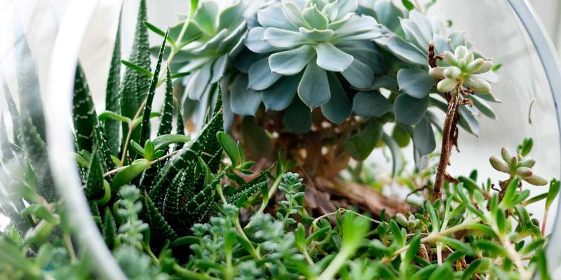 刑事辩护与诉讼代理全解析:如何高效运用法律咨询服务