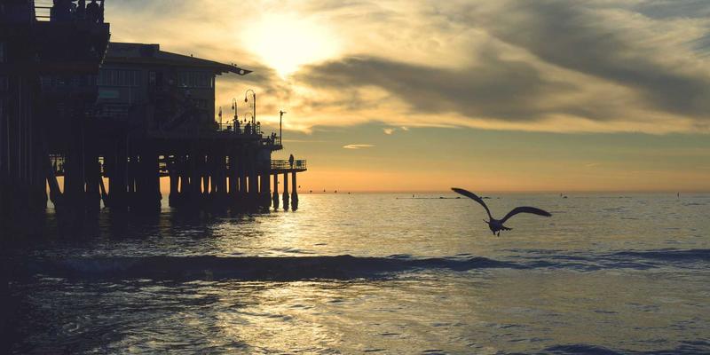 劳动争议中加班费计算与举证责任分配法律实务解析 | 沙莫金法律视角