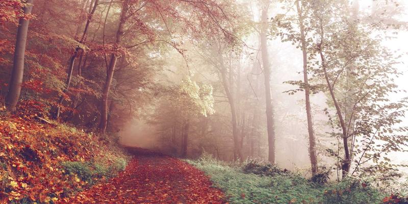 商业秘密刑事辩护与商事法律实务：竞业限制协议签订与侵权取证全攻略