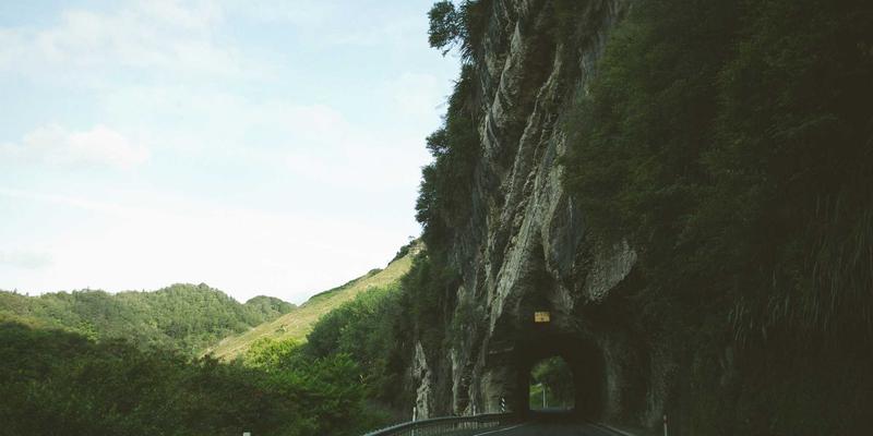 沙莫金法律：专业法律咨询与律师服务，守护您的合法权益