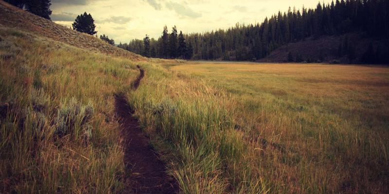 法律咨询69：商事法律与民事诉讼中的律师服务关键解析