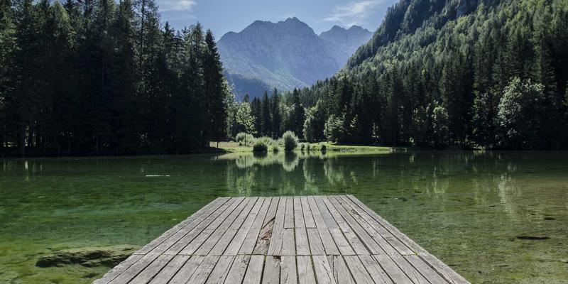 法律咨询95：专业律师服务如何为刑事辩护提供关键支持