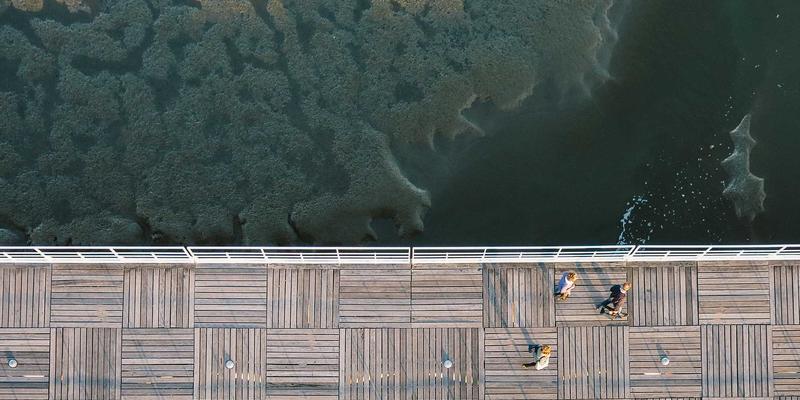 法律咨询99：刑事辩护与商事法律的全面护航，专业律师服务如何守护您的权益
