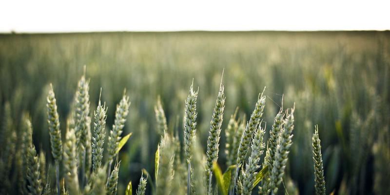 法律咨询如何选择?三大领域(商事/刑事)专业评测指南