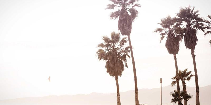 私募股权投资对赌协议效力分析与条款设计 | 沙莫金法律诉讼代理实务指南